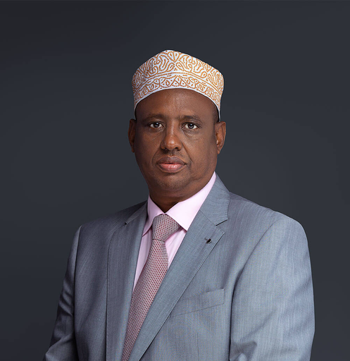 Mohamud Mohamed Ali